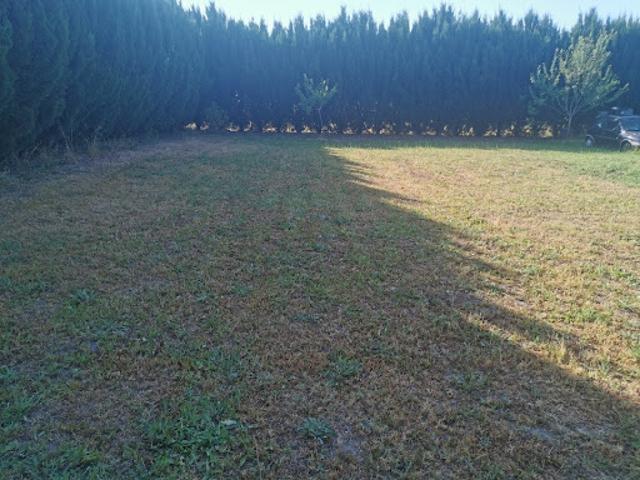 Vente Terrain 1000 m2 Toulenne