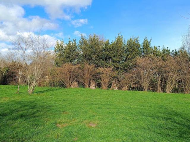 Vente Terrain 1000 m2 Talais