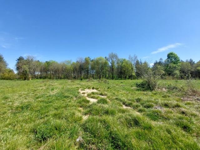Vente Terrain 1000 m2 Vacquiers