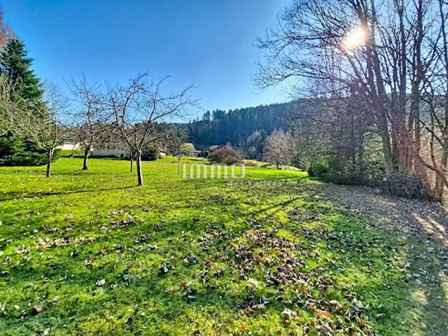Vente Terrain 1000 m2 Xonrupt Longemer