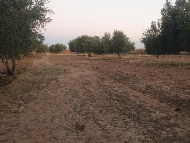 Vente terrain 1000 m² à Marrakech