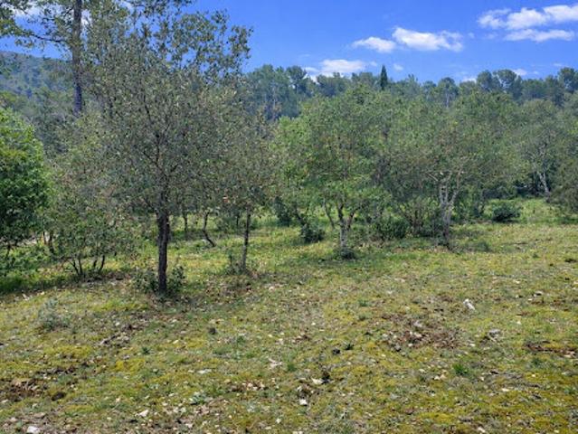 Vente Terrain 1001 m2 Garéoult