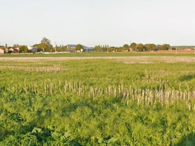Vente Terrain 1001 m2 Le Mung