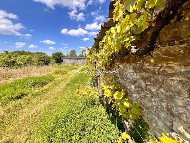 Vente Terrain 1001 m2 Saint Mard