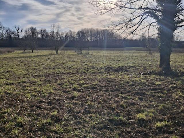 Vente Terrain 10024 m2 Viapres le grand