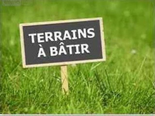 Vente Terrain 1002 m2 Château la Vallière