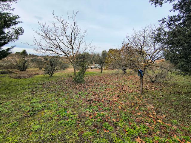 Vente Terrain 0 m2 Cabries