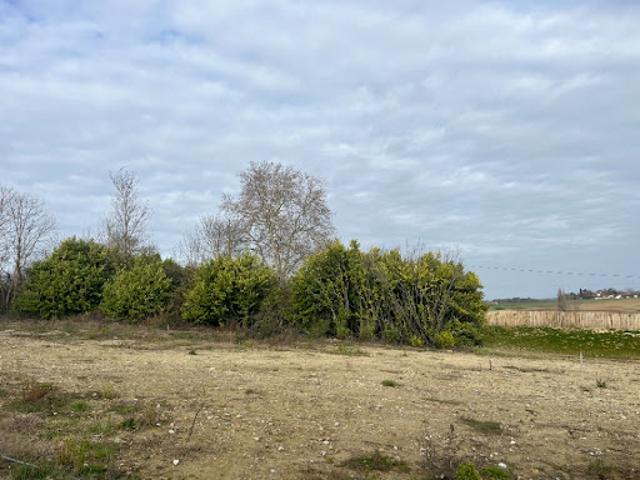 Vente Terrain 1007 m2 Quint Fonsegrives