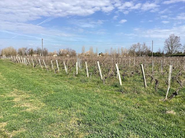 Vente Terrain 1009 m2 Saint Sulpice de Faleyrens