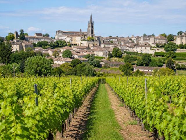 Vente Terrain 1009 m2 Saint Sulpice de Faleyrens