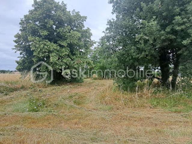 Vente Terrain 1010 m2 Peyssies