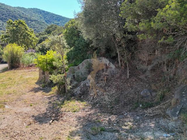 Vente Terrain 1010 m2 Prunelli di Fiumorbo