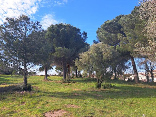 Vente Terrain 1012 m2 Le Muy