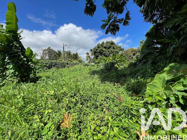 Vente Terrain 1015 m2 Capesterre Belle Eau