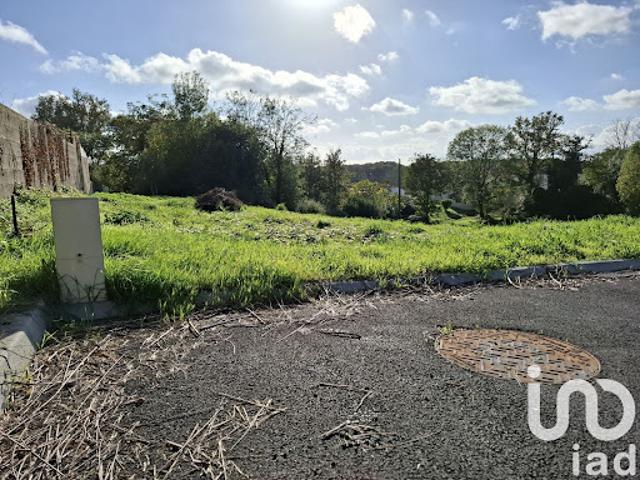 Vente Terrain 1015 m2 La Chapelle Palluau
