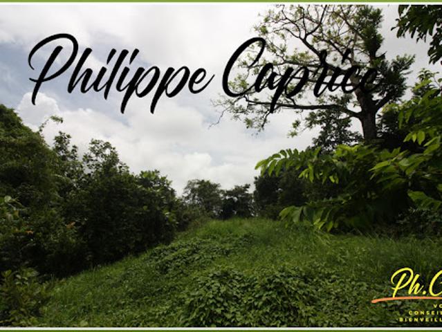 Vente Terrain 1015 m2 Marin