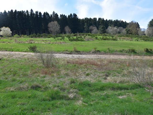 Vente Terrain 1018 m2 Dunières