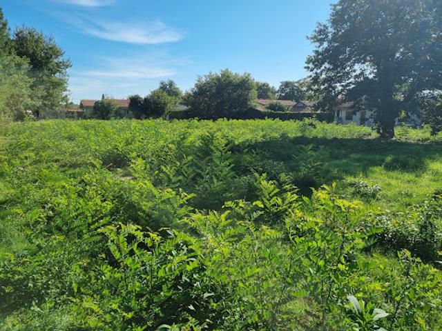 Vente Terrain 1020 m2 Saint Aubin de Médoc