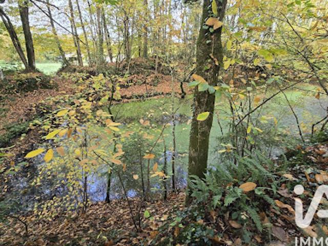 Vente Terrain 10210 m2 Vieux Vy sur Couesnon