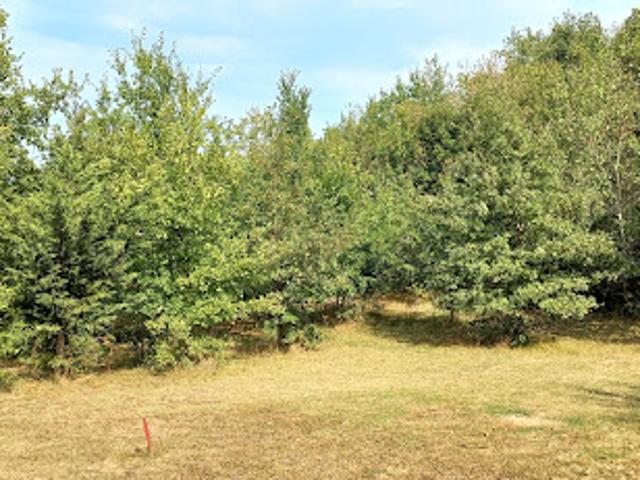 Vente Terrain 1025 m2 Montdurausse