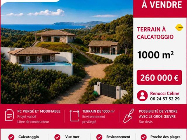 Vente Terrain 1028 m2 Calcatoggio