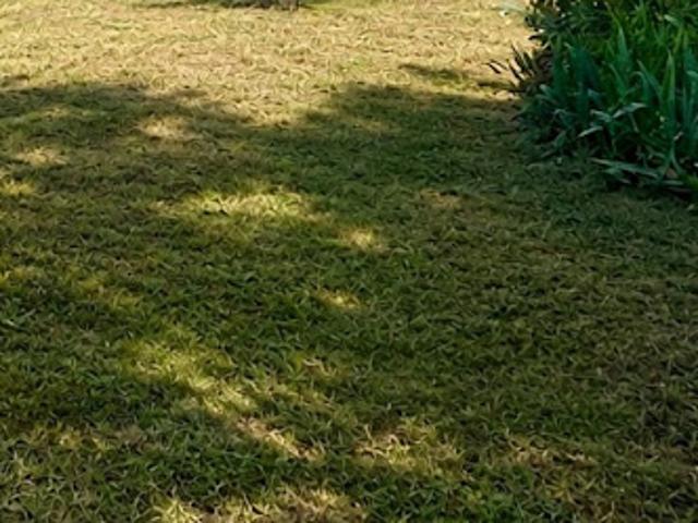 Vente Terrain 1030 m2 Brive la Gaillarde
