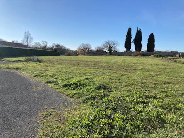 Vente Terrain 1032 m2 Colombiers