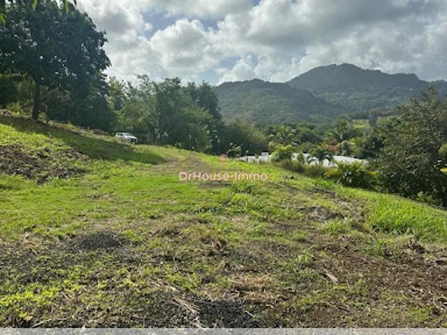 Vente Terrain 1033 m2 Le francois