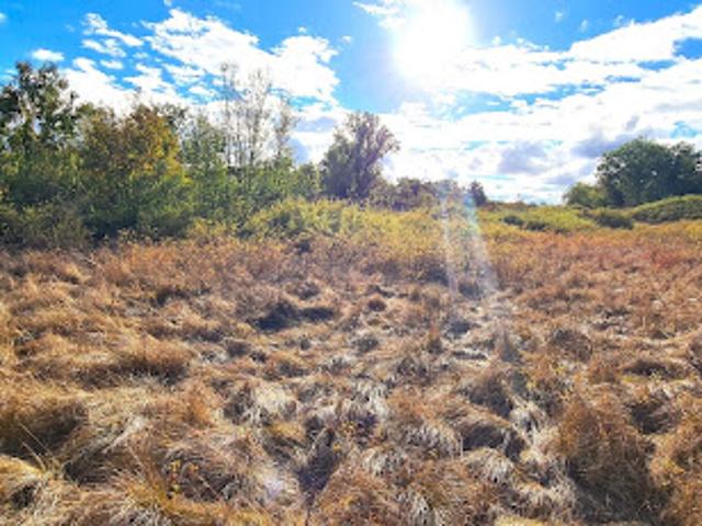 Vente Terrain 10392 m2 Gramat