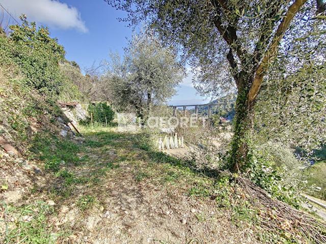 Vente Terrain 1041 m2 Gorbio