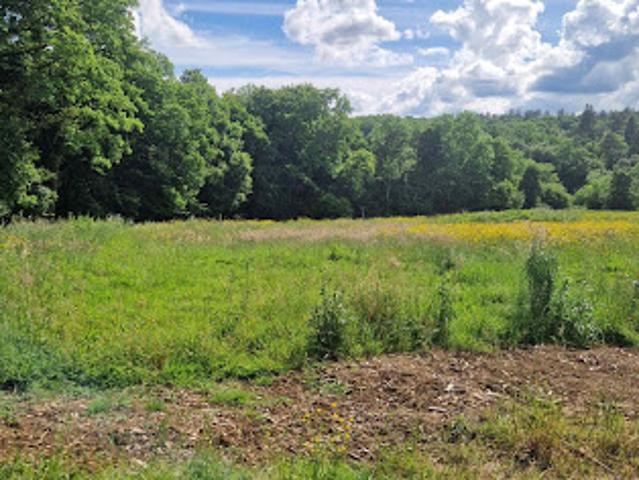 Vente Terrain 1044 m2 Vy lès Filain