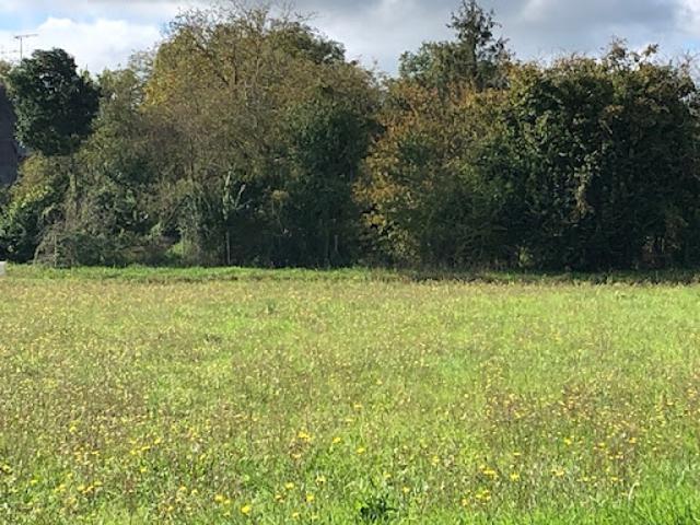Vente Terrain 1049 m2 Avrille