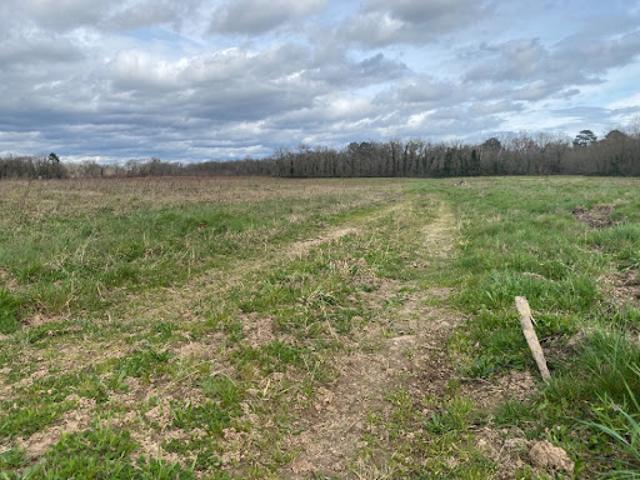 Vente Terrain 1050 m2 Langon