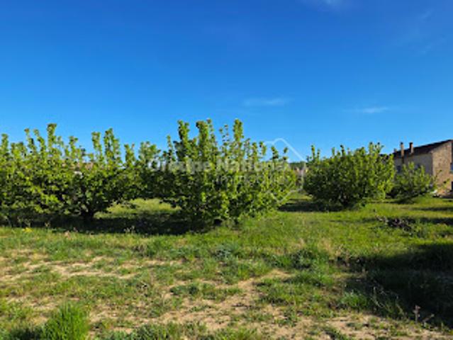 Vente Terrain 1052 m2 Cavillargues