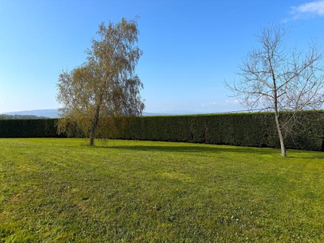 Vente Terrain 1052 m2 Reyrieux