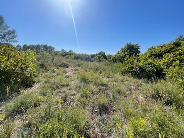Vente Terrain 105530 m2 Combas