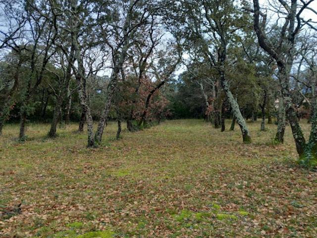 Vente Terrain 1055 m2 Saint Siffret