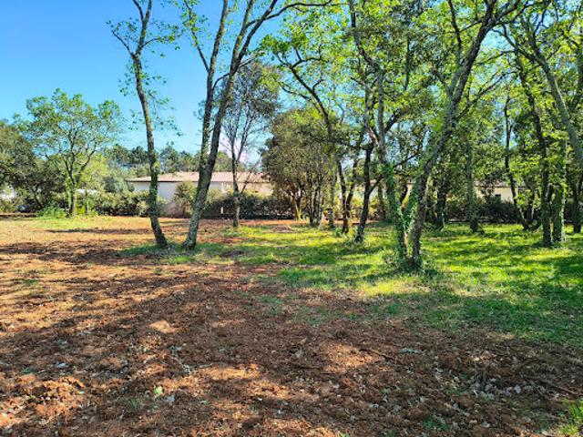 Vente Terrain 1055 m2 Saint Siffret