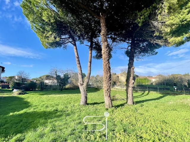 Vente Terrain 1056 m2 Saint Palais sur Mer