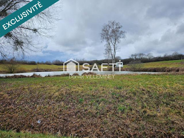 Vente Terrain 10608 m2 Palante