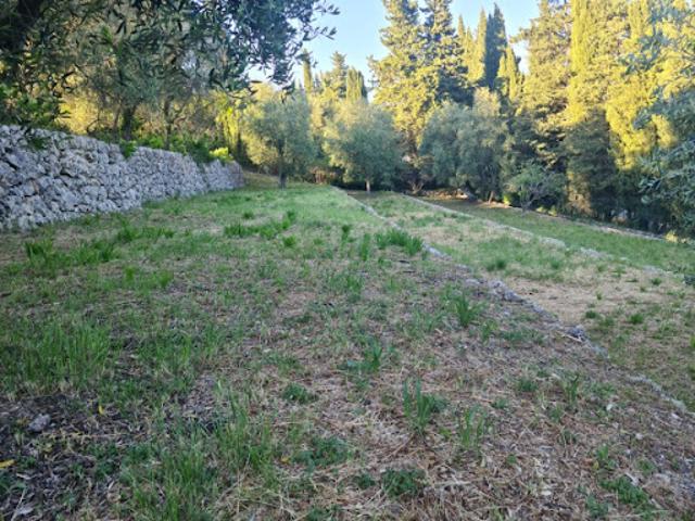 Vente Terrain 1062 m2 Valbonne