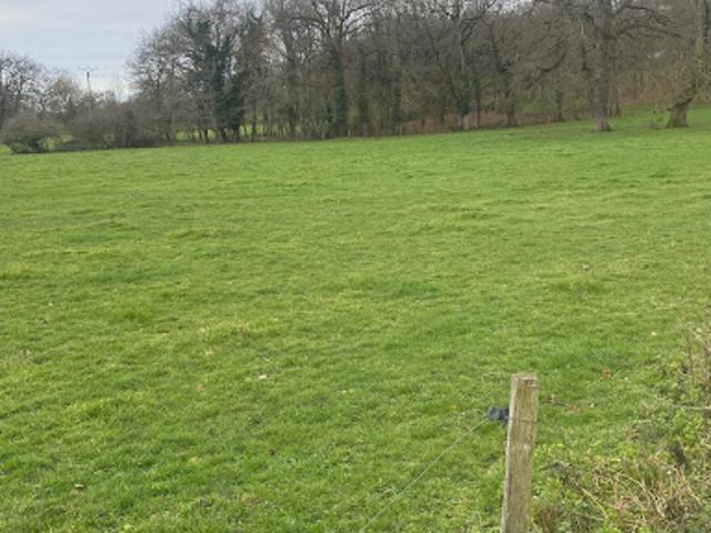 Vente Terrain 1067 m2 Saint Priest Bramefant