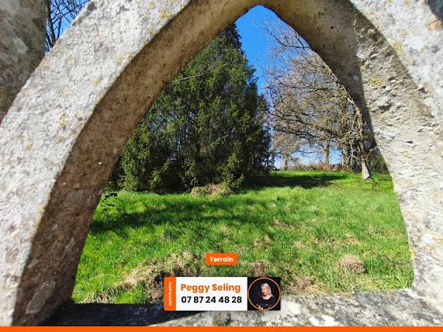 Vente Terrain 1068 m2 Mondrepuis
