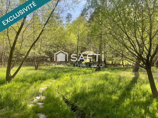 Vente Terrain 10690 m2 Wingen
