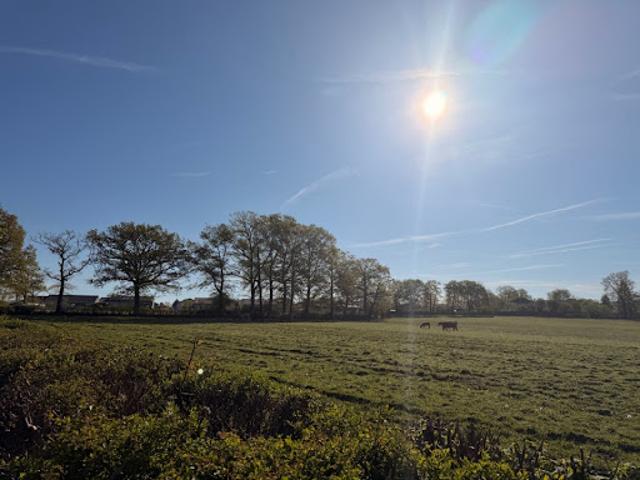 Vente Terrain 1070 m2 Ytrac