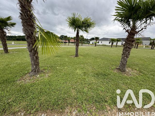 Vente Terrain 1074 m2 Denguin