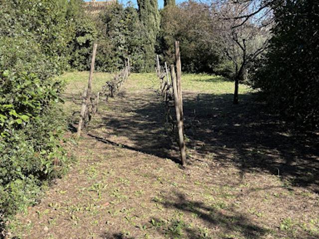 Vente Terrain 1075 m2 La garde