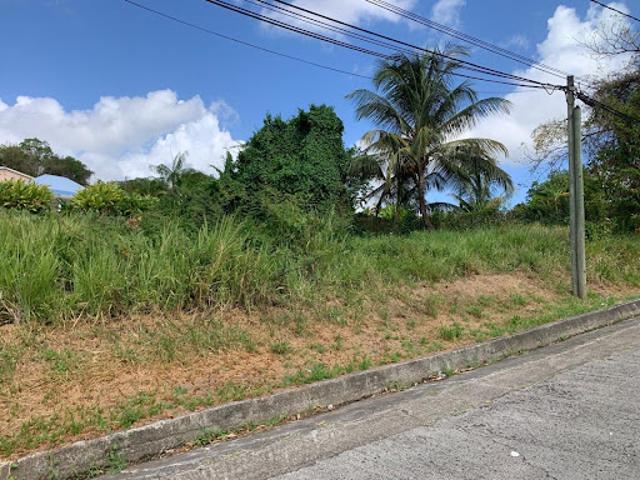 Vente Terrain 1077 m2 Riviere salee