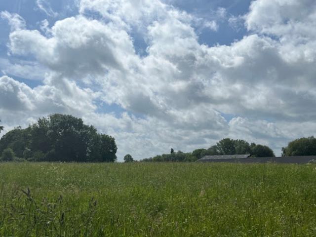 Vente Terrain 1079 m2 Ponthoile