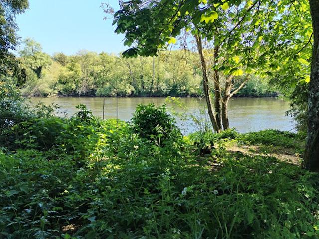 Vente Terrain 1082 m2 Chauvigny
